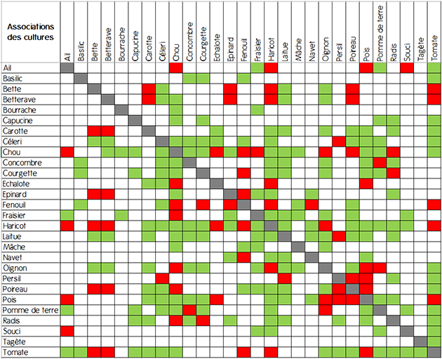 association-cultures-tableau-recapitulatif